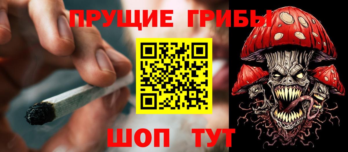 Ставрополь  Псилоцибиновые грибы ЛСД  Галлюциногенные грибы мицелий  Вход с VPN 