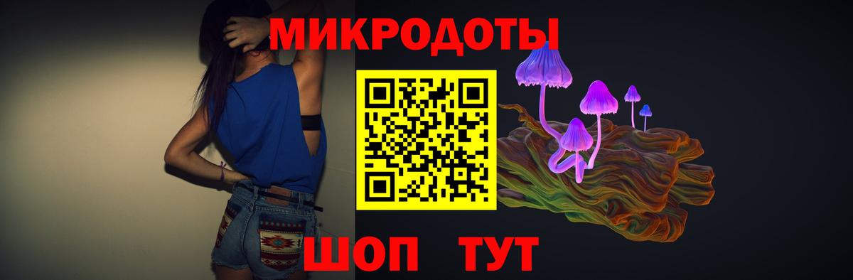 Псилоцибиновые грибы Psilocybine cubensis Ставрополь